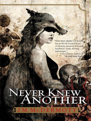cover image of Never Knew Another